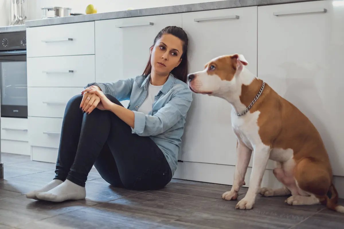 A woman sits on a sofa near a dog.