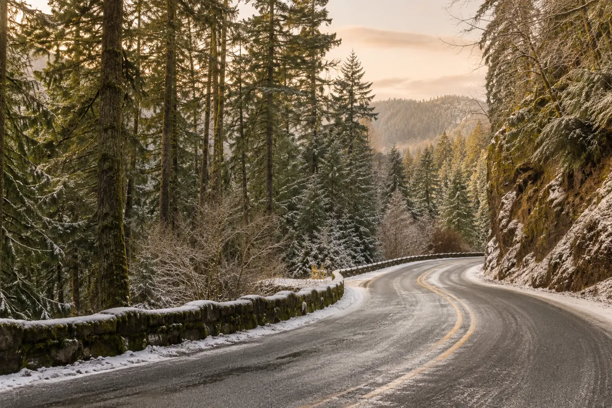A quiet snowy road curves through an evergreen forest.