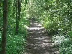Natchez Trace Trail
