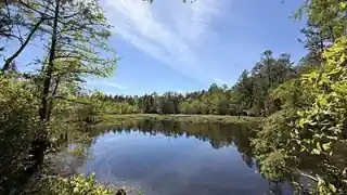 Blackwater River State Park