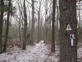 Warner Trail