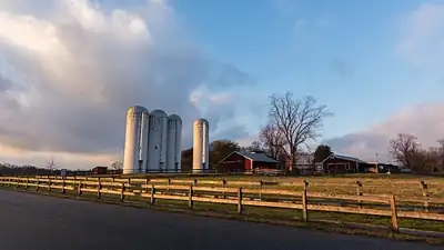 Kinder Farm Park
