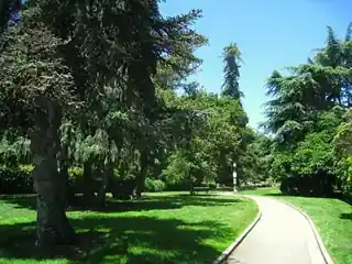 San Mateo Arboretum
