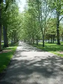 Julia Davis Park