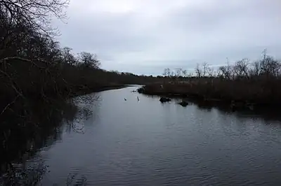Wertheim National Wildlife Refuge