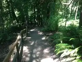 Watershed Park