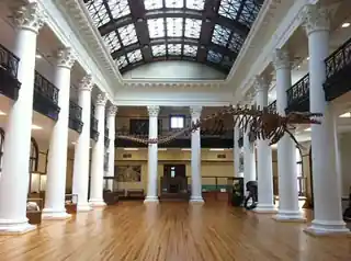 Alabama Museum of Natural History