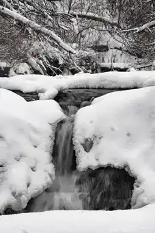 Waterfall Glen Forest Preserve