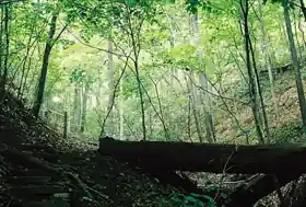 Core Arboretum