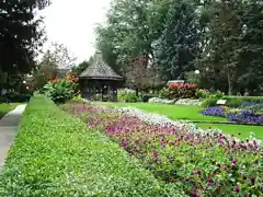 Buxton Park Arboretum