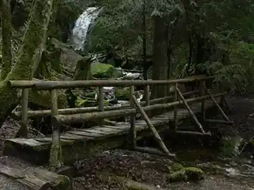 Cougar Mountain Regional Wildland Park