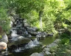 Bertrand F. Harrison Arboretum