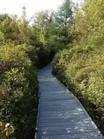 Cooperrider-Kent Bog State Nature Preserve