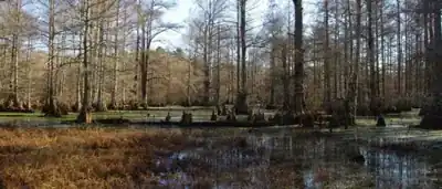 Little River National Wildlife Refuge