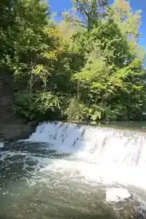 Bronx Park