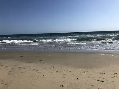 Huntington State Beach