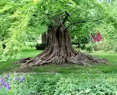 Bailey Arboretum