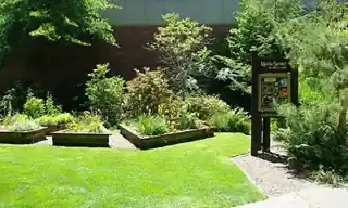 Martha Springer Botanical Garden