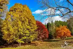 Klehm Arboretum and Botanic Garden