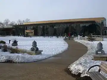 Morton Arboretum