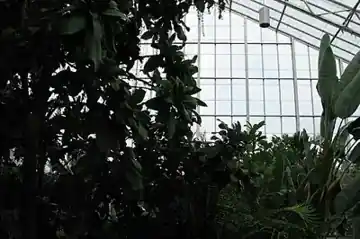 University of Illinois Conservatory and Plant Collection