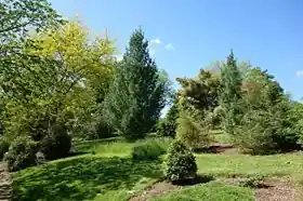 Stanley M. Rowe Arboretum