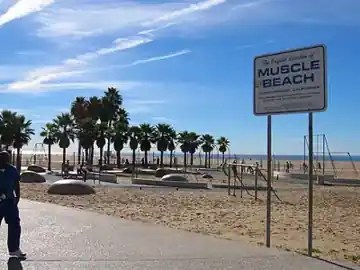 Muscle Beach
