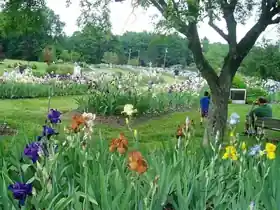 Presby Memorial Iris Gardens
