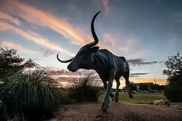 National Ranching Heritage Center