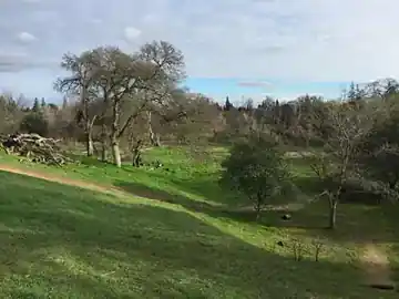 Maidu Regional Park