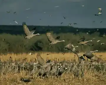 Lake Andes National Wildlife Refuge