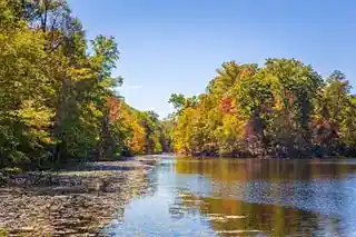 Bays Mountain Park