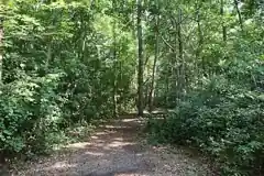 University of North Carolina at Wilmington Arboretum