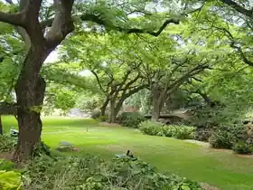 Liliʻuokalani Botanical Garden