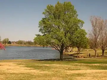Amarillo Botanical Gardens