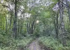 Mittineague Park