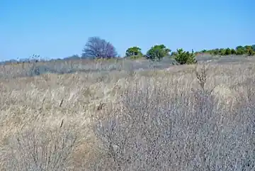 Heckscher State Park