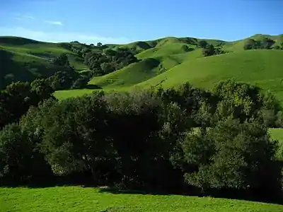 Briones Regional Park
