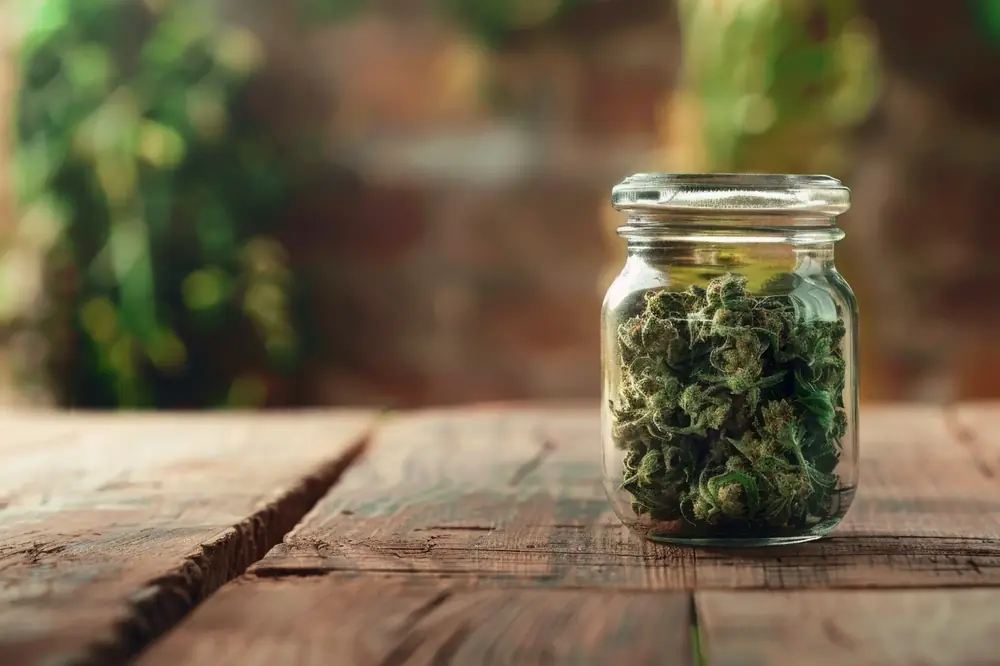 A glass jar holds cannabis leaves.