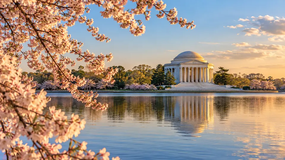 A warm editorial scene inspired by the Tidal Basin and Jefferson Memorial, Washington, DC