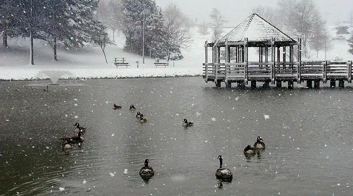 A local view of Ballwin, MO