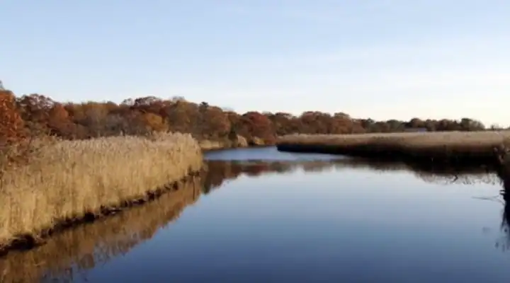 A local view of Bayport, NY