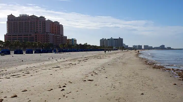 A local view of Clearwater, FL