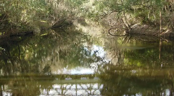 A local view of Fish Hawk, FL