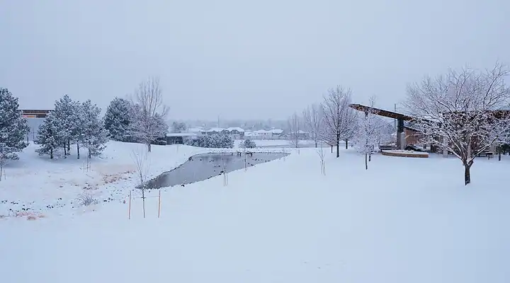 A local view of Greenwood Village, CO
