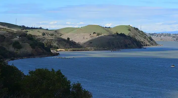 A local view of Martinez, CA