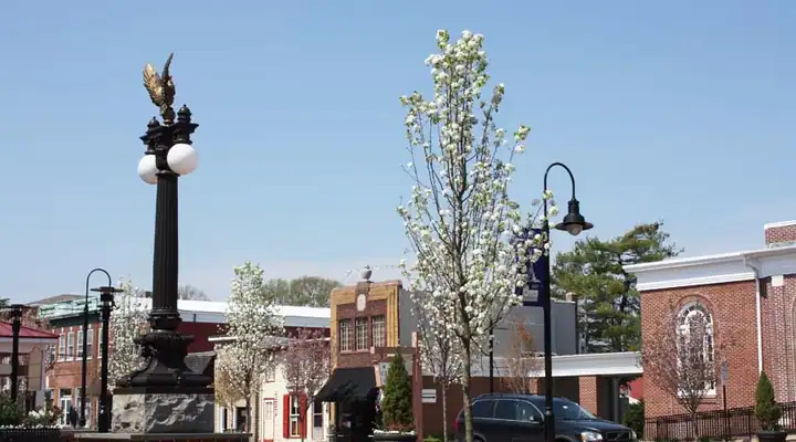 A local view of Middletown, DE