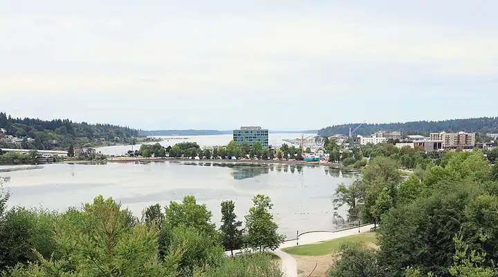 A local view of Olympia, WA