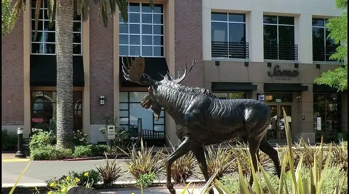 A local view of Roseville, CA