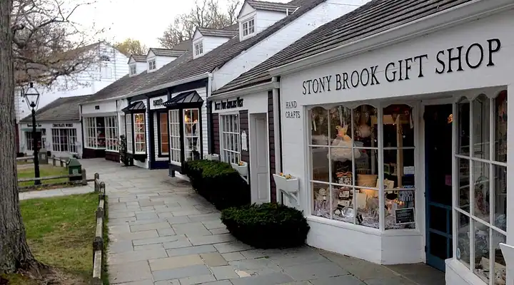 A local view of Stony Brook, NY